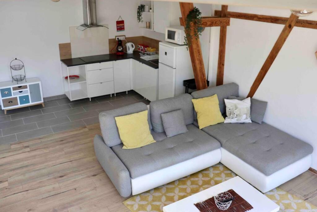 Apartament La Grange De Jeannette Burnhaupt-le-Haut Zewnętrze zdjęcie