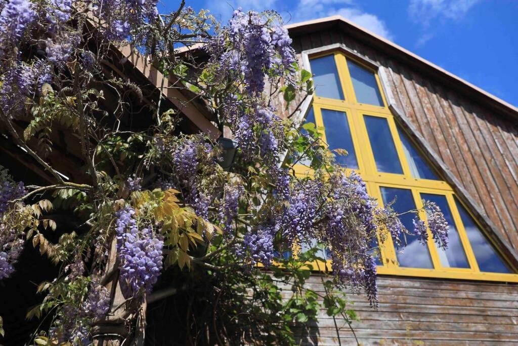 Apartament La Grange De Jeannette Burnhaupt-le-Haut Zewnętrze zdjęcie